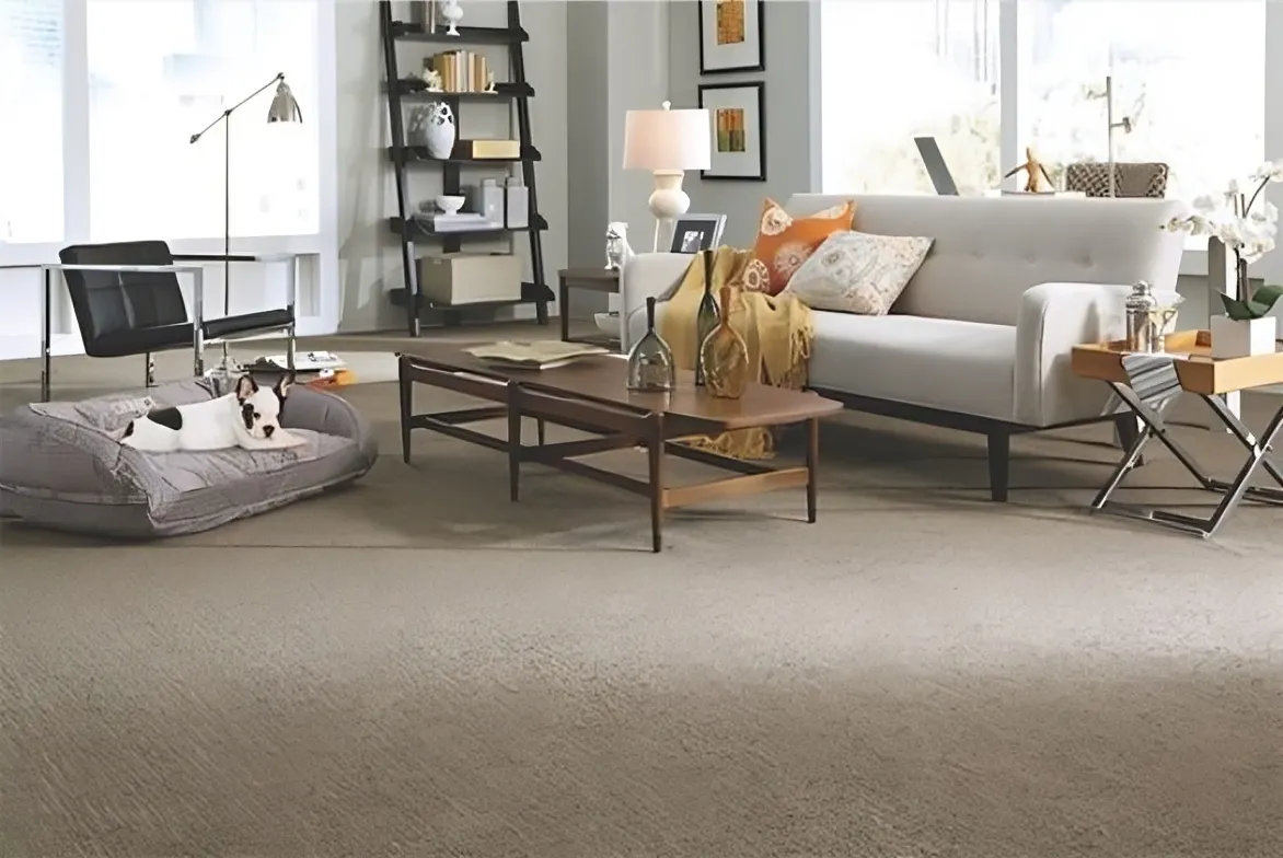 Carpet vs Hardwood