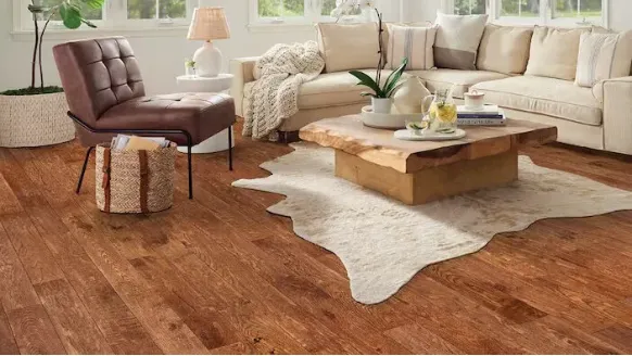 Carpet vs Hardwood