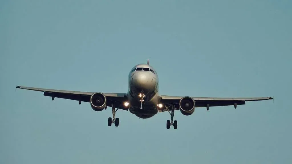 Logistics, Customs Clearance, and Delivery