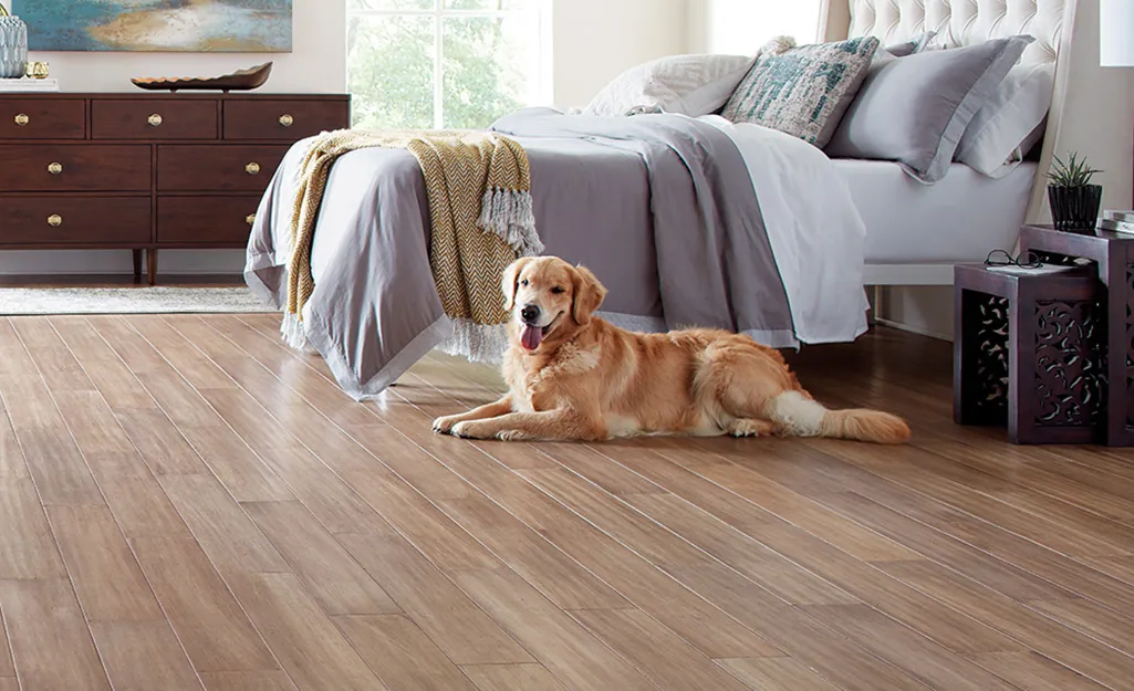 birch vs oak hardwood floor